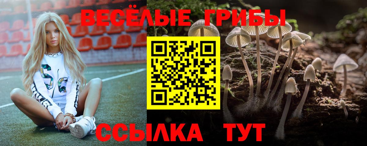 Псилоцибиновые грибы прущие грибы Кудрово