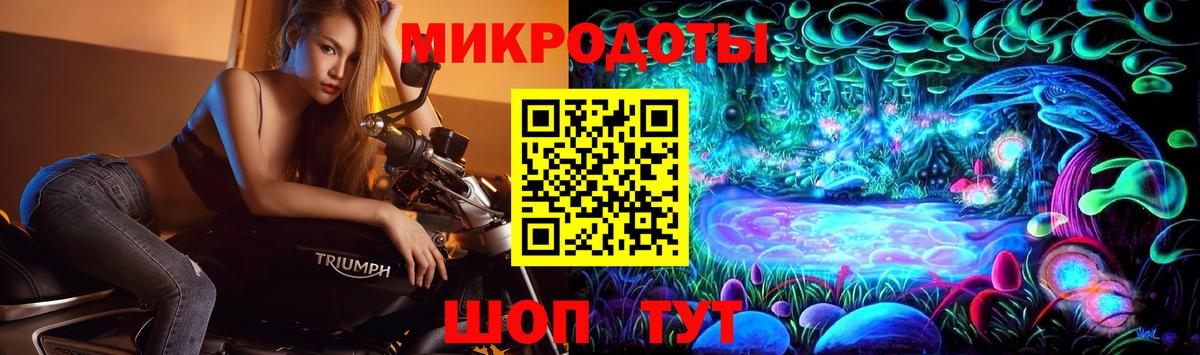 Галлюциногенные грибы Psilocybe  Вход с VPN  Кудрово 